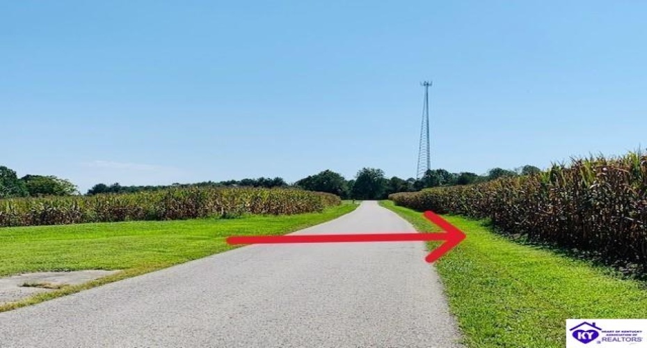 Capps Road, Campbellsville, Kentucky 42718-0000, ,For Sale,Capps Road,HK24001669