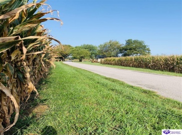 Capps Road, Campbellsville, Kentucky 42718-0000, ,For Sale,Capps Road,HK24001669