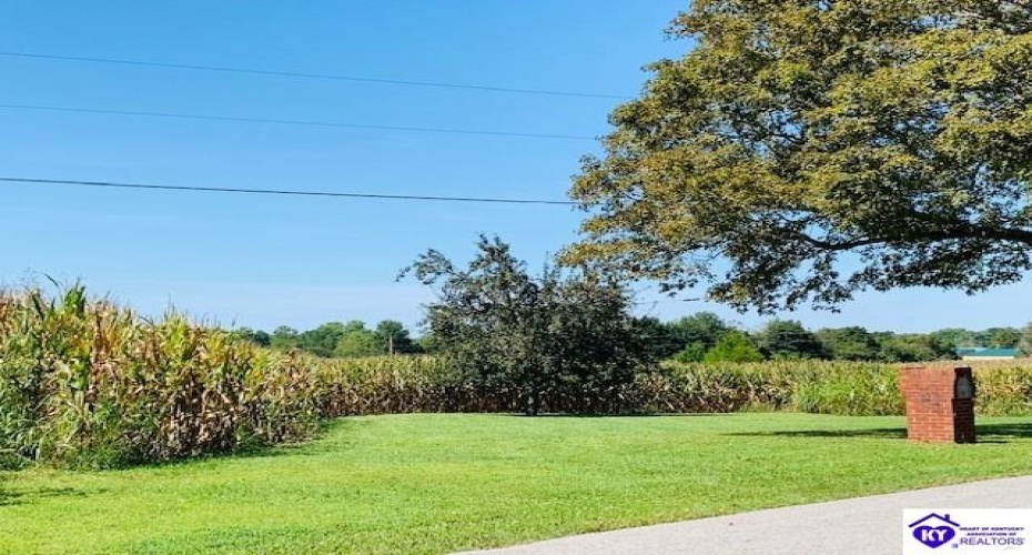 Capps Road, Campbellsville, Kentucky 42718-0000, ,For Sale,Capps Road,HK24001669