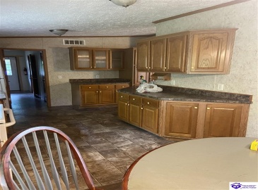 Pickerell Road, Buffalo, Kentucky 42716, ,2 BathroomsBathrooms,For Sale,Pickerell Road,HK24001743