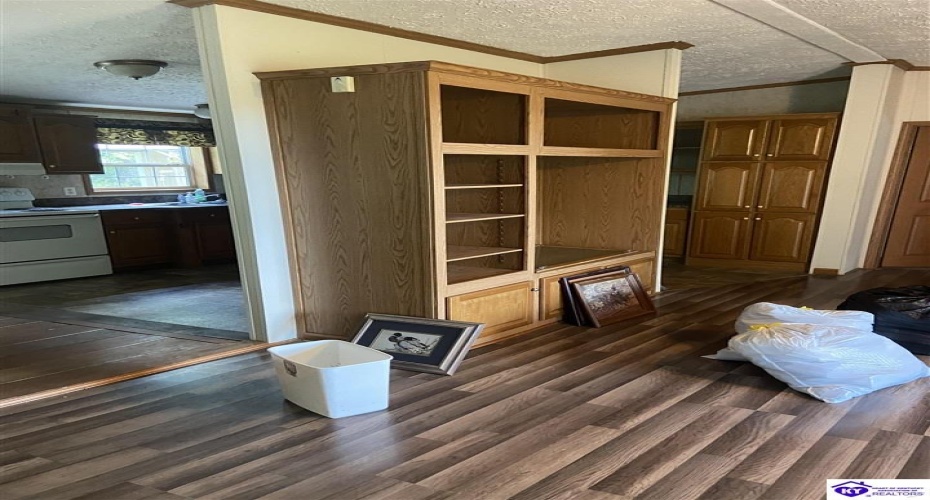 Pickerell Road, Buffalo, Kentucky 42716, ,2 BathroomsBathrooms,For Sale,Pickerell Road,HK24001743