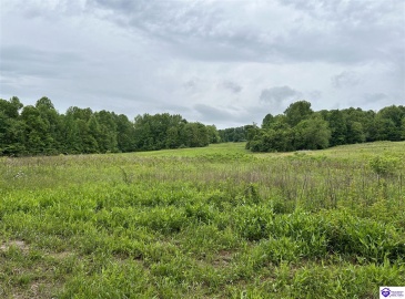 Reddie Tucker Road South, Columbia, Kentucky 42728, ,For Sale,Reddie Tucker Road South,HK24001754