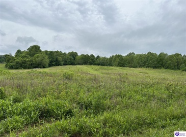 Reddie Tucker Road South, Columbia, Kentucky 42728, ,For Sale,Reddie Tucker Road South,HK24001754