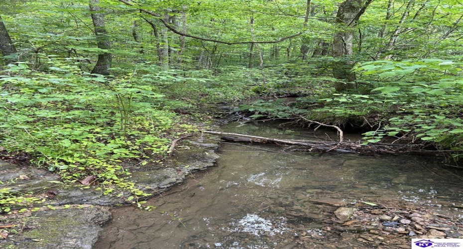 Elkhorn Road, Knifley, Kentucky 42735, ,For Sale,Elkhorn Road,HK24001755