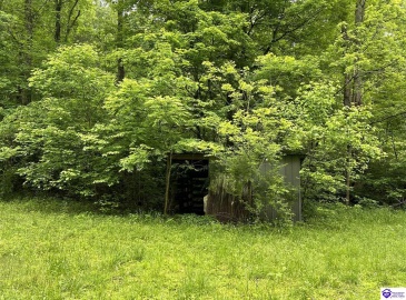 Elkhorn Road, Knifley, Kentucky 42735, ,For Sale,Elkhorn Road,HK24001755