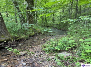 Elkhorn Road, Knifley, Kentucky 42735, ,For Sale,Elkhorn Road,HK24001755