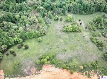 Lowball Lane, Vine Grove, Kentucky 40175, ,For Sale,Lowball Lane,HK24001827