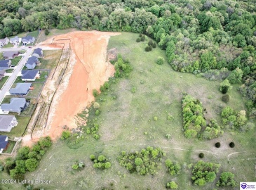 Lowball Lane, Vine Grove, Kentucky 40175, ,For Sale,Lowball Lane,HK24001827