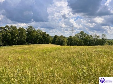 Whites Runs Road, Carrollton, Kentucky 41008-0000, ,For Sale,Whites Runs Road,HK24001880