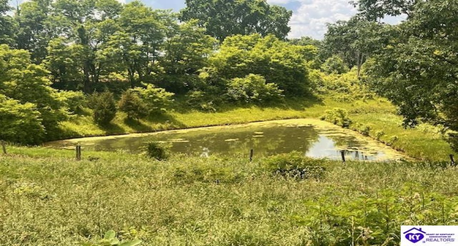 Whites Runs Road, Carrollton, Kentucky 41008-0000, ,For Sale,Whites Runs Road,HK24001880