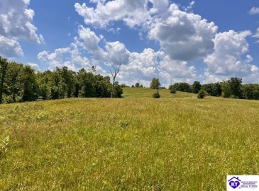 Whites Runs Road, Carrollton, Kentucky 41008-0000, ,For Sale,Whites Runs Road,HK24001880