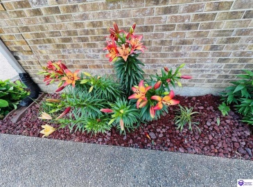 Christerson Lane, Campbellsville, Kentucky 42718, ,2 BathroomsBathrooms,For Sale,Christerson Lane,HK24001929