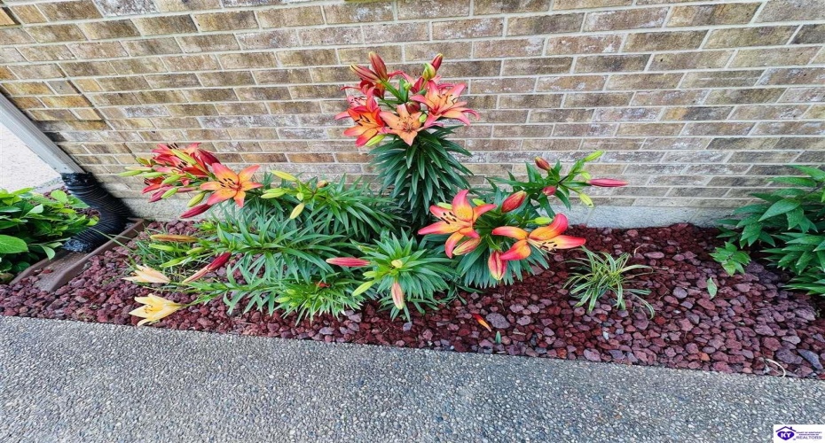 Christerson Lane, Campbellsville, Kentucky 42718, ,2 BathroomsBathrooms,For Sale,Christerson Lane,HK24001929