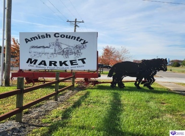 Henry Street, Junction City, Kentucky 40440, ,For Sale,Henry Street,HK24000309