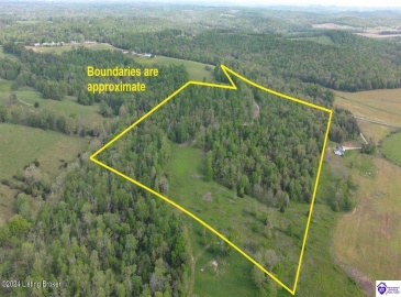 Millerstown Road, Clarkson, Kentucky 42726, ,For Sale,Millerstown Road,HK24001980