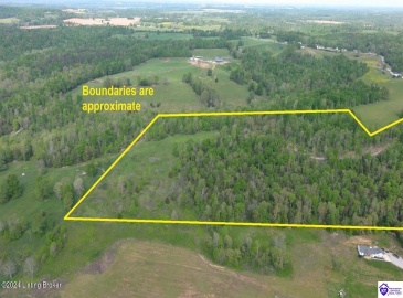 Millerstown Road, Clarkson, Kentucky 42726, ,For Sale,Millerstown Road,HK24001980