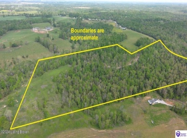 Millerstown Road, Clarkson, Kentucky 42726, ,For Sale,Millerstown Road,HK24001980