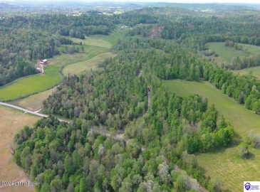 Millerstown Road, Clarkson, Kentucky 42726, ,For Sale,Millerstown Road,HK24001980