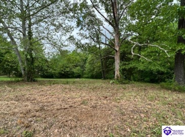 Marina Point Lane, Falls Of Rough, Kentucky 40119, ,For Sale,Marina Point Lane,HK23001530