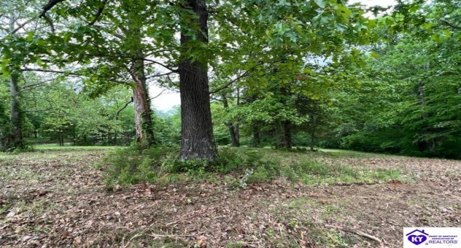 Marina Point Lane, Falls Of Rough, Kentucky 40119, ,For Sale,Marina Point Lane,HK23001530