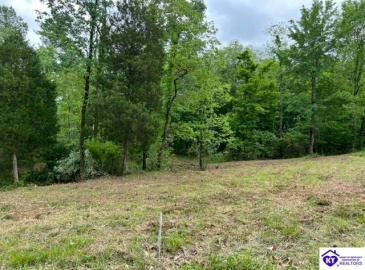 Marina Point Lane, Falls Of Rough, Kentucky 40119, ,For Sale,Marina Point Lane,HK23001534