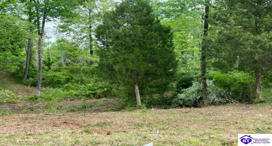 Marina Point Lane, Falls Of Rough, Kentucky 40119, ,For Sale,Marina Point Lane,HK23001534