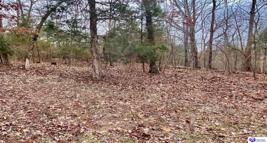 Concord Point Road, Falls Of Rough, Kentucky 40119, ,4 BathroomsBathrooms,For Sale,Concord Point Road,HK24002130