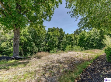 Meadow Court, Hardinsburg, Kentucky 40143, ,3 BathroomsBathrooms,For Sale,Meadow Court,HK24002172