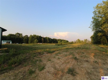 Spring Street, Clarkson, Kentucky 42726, ,For Sale,Spring Street,HK24002170