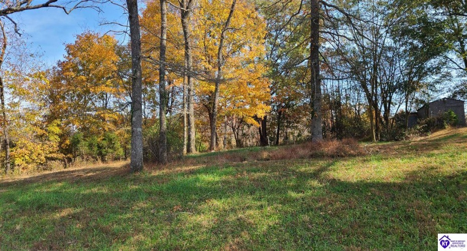 Dennison Road, Magnolia, Kentucky 42757, ,3 BathroomsBathrooms,For Sale,Dennison Road,HK24002232