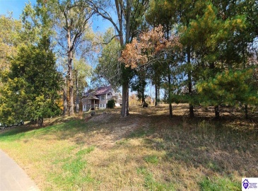 Dennison Road, Magnolia, Kentucky 42757, ,3 BathroomsBathrooms,For Sale,Dennison Road,HK24002232