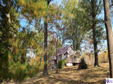 Dennison Road, Magnolia, Kentucky 42757, ,3 BathroomsBathrooms,For Sale,Dennison Road,HK24002232