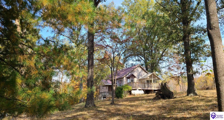 Dennison Road, Magnolia, Kentucky 42757, ,3 BathroomsBathrooms,For Sale,Dennison Road,HK24002232