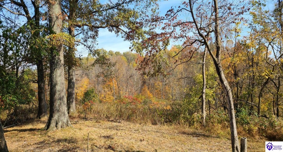 Dennison Road, Magnolia, Kentucky 42757, ,3 BathroomsBathrooms,For Sale,Dennison Road,HK24002232