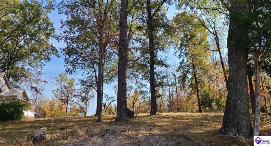 Dennison Road, Magnolia, Kentucky 42757, ,3 BathroomsBathrooms,For Sale,Dennison Road,HK24002232