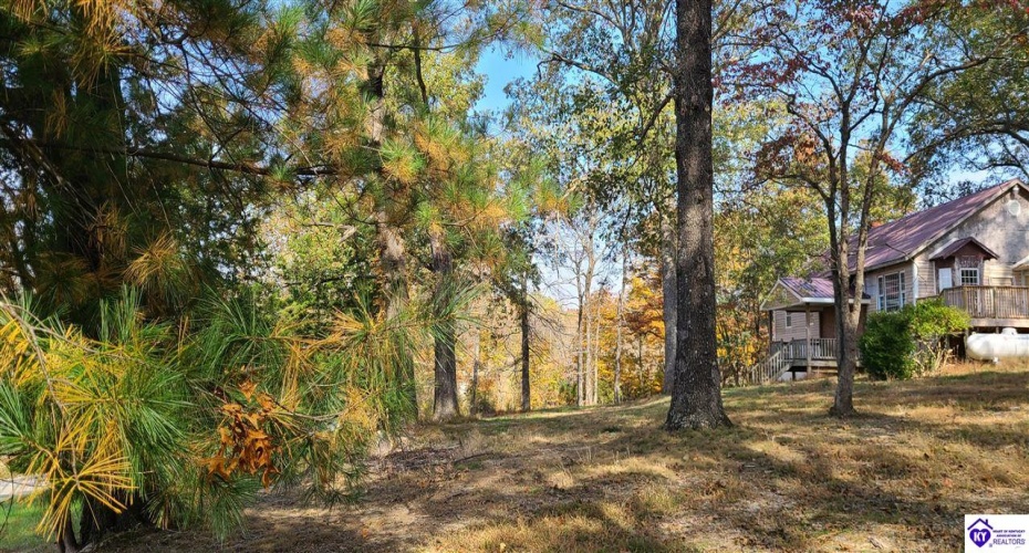 Dennison Road, Magnolia, Kentucky 42757, ,3 BathroomsBathrooms,For Sale,Dennison Road,HK24002232