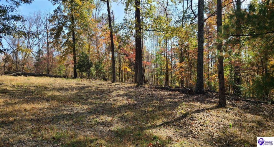 Dennison Road, Magnolia, Kentucky 42757, ,3 BathroomsBathrooms,For Sale,Dennison Road,HK24002232