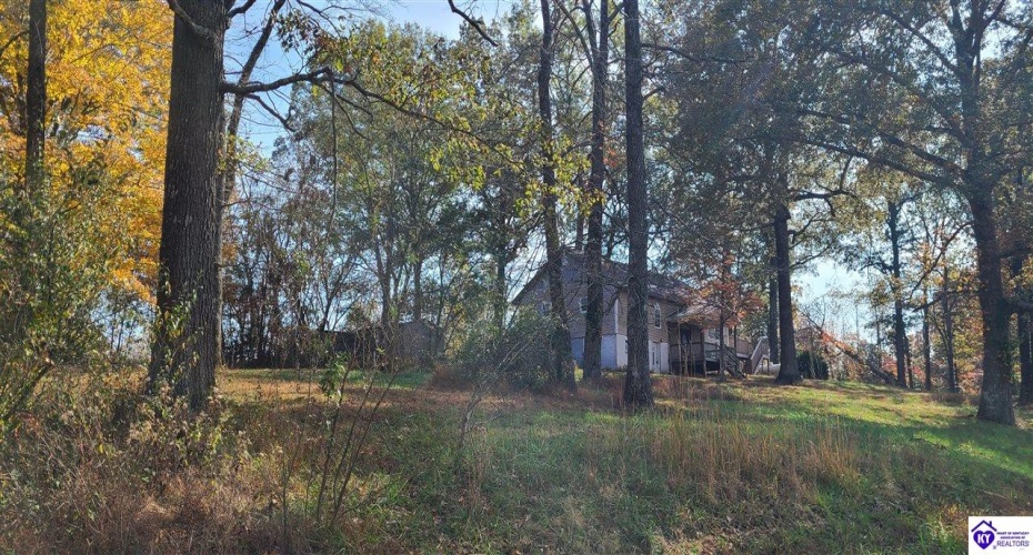 Dennison Road, Magnolia, Kentucky 42757, ,3 BathroomsBathrooms,For Sale,Dennison Road,HK24002232