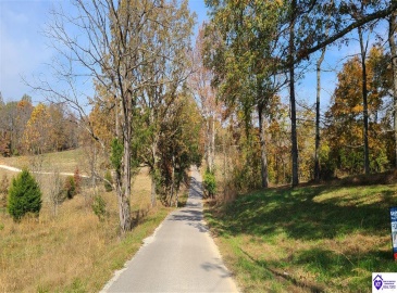 Dennison Road, Magnolia, Kentucky 42757, ,3 BathroomsBathrooms,For Sale,Dennison Road,HK24002232