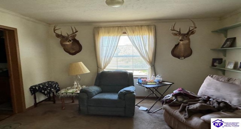 Cardinal Drive, Leitchfield, Kentucky 42754, ,2 BathroomsBathrooms,For Sale,Cardinal Drive,HK24002254