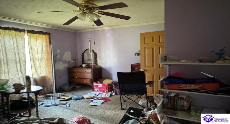 Cardinal Drive, Leitchfield, Kentucky 42754, ,2 BathroomsBathrooms,For Sale,Cardinal Drive,HK24002254