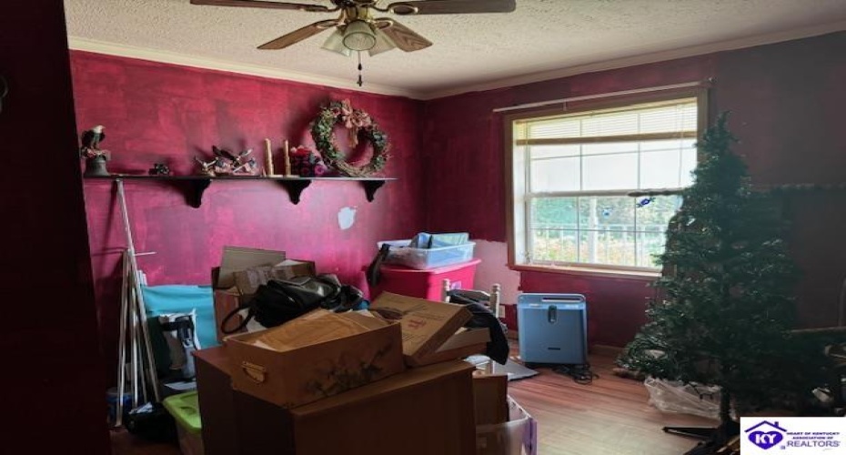 Cardinal Drive, Leitchfield, Kentucky 42754, ,2 BathroomsBathrooms,For Sale,Cardinal Drive,HK24002254