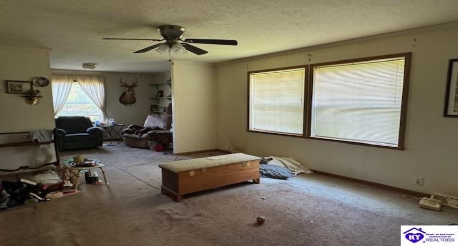 Cardinal Drive, Leitchfield, Kentucky 42754, ,2 BathroomsBathrooms,For Sale,Cardinal Drive,HK24002254