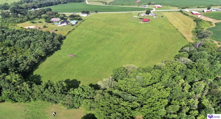 Greensburg Road, Buffalo, Kentucky 42716, ,2 BathroomsBathrooms,For Sale,Greensburg Road,HK24002281