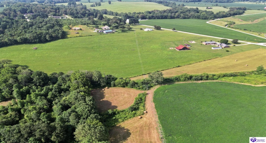 Greensburg Road, Buffalo, Kentucky 42716, ,2 BathroomsBathrooms,For Sale,Greensburg Road,HK24002281