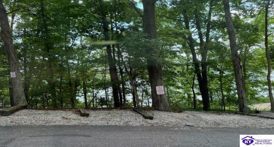 Cannons Lane, McDaniels, Kentucky 40152, ,For Sale,Cannons Lane,HK24002291