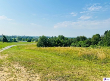 White Rose Road, Campbellsville, Kentucky 42718, ,2 BathroomsBathrooms,For Sale,White Rose Road,HK24002297