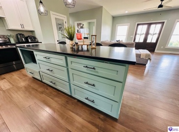 White Rose Road, Campbellsville, Kentucky 42718, ,2 BathroomsBathrooms,For Sale,White Rose Road,HK24002297