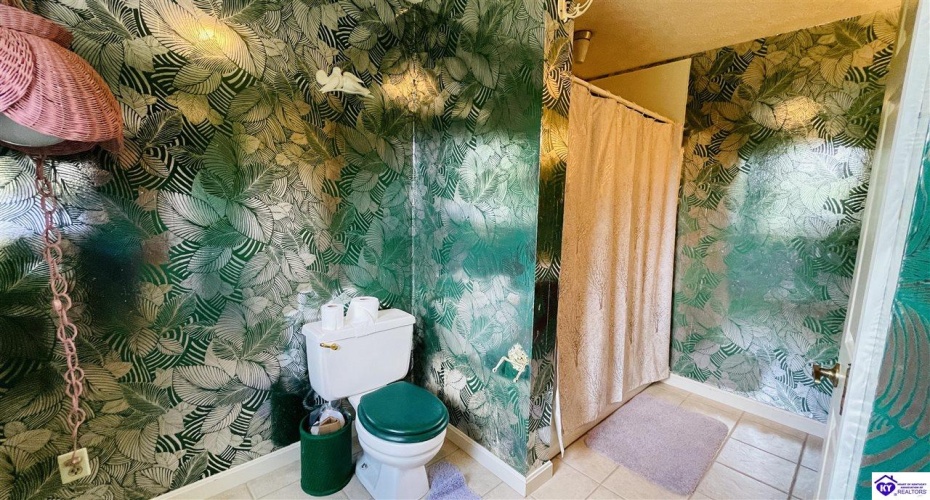 Beechwood Drive, Campbellsville, Kentucky 42718, ,3 BathroomsBathrooms,For Sale,Beechwood Drive,HK24002301