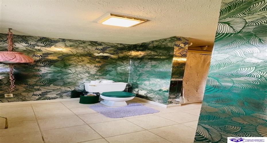 Beechwood Drive, Campbellsville, Kentucky 42718, ,3 BathroomsBathrooms,For Sale,Beechwood Drive,HK24002301